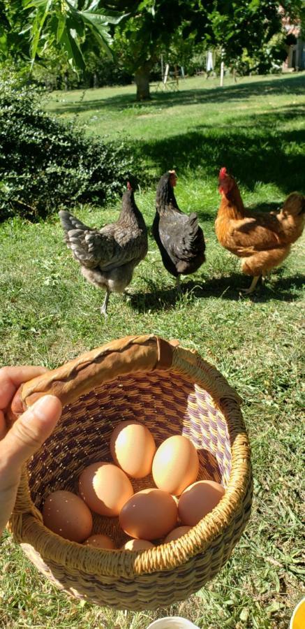 B&B La Ferme De Loubens ภายนอก รูปภาพ